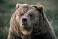 徐玉蘭的風水磁場順心術|輕鬆運用空間能量,轉變財運與機運